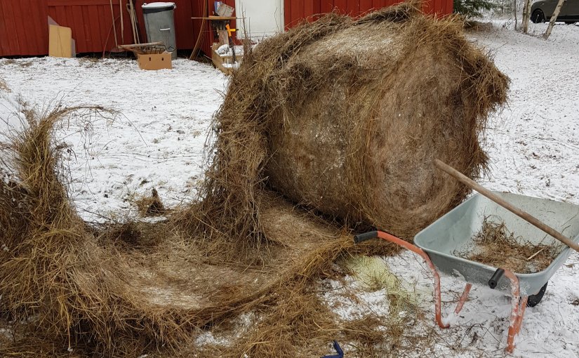 Att slåss med en&nbsp;halmdocka