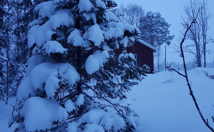 2017 års krönika över våra första fyra månader på&nbsp;Rävbacken.