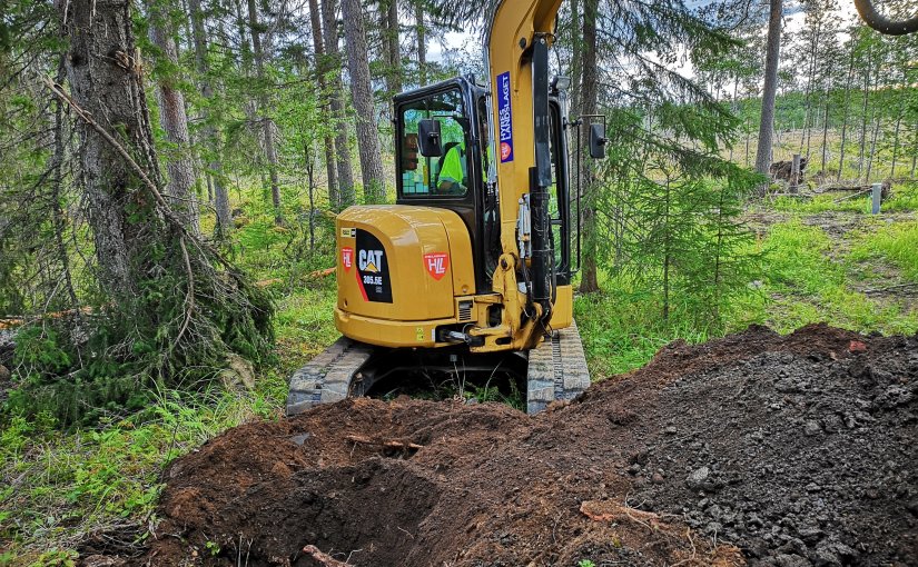 Jordrörets tillblivande