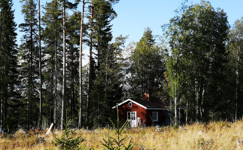 Mörker och vatten,&nbsp;elände