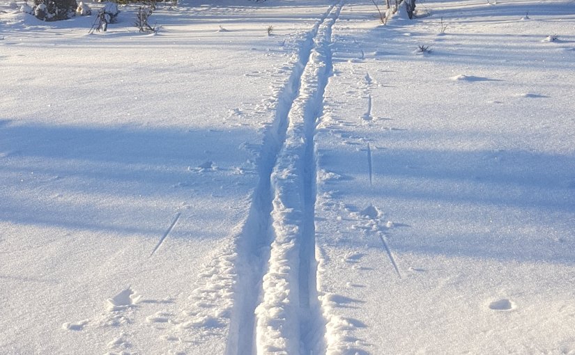 Vad hände på Rävbacken i januari&nbsp;egentligen?