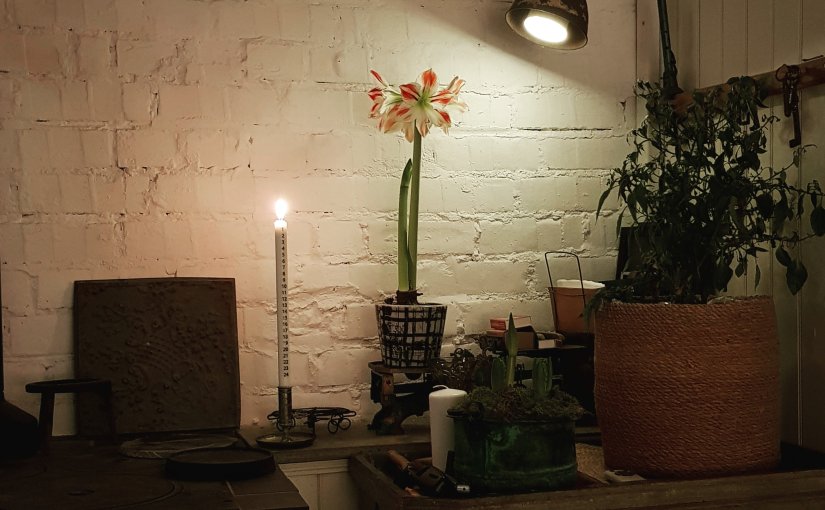 Ett litet pirr av lugn och&nbsp;lycka