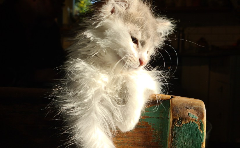 Julkalender 2020 Lucka&nbsp;7