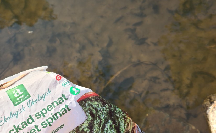 Julkalender 2020 Lucka&nbsp;11