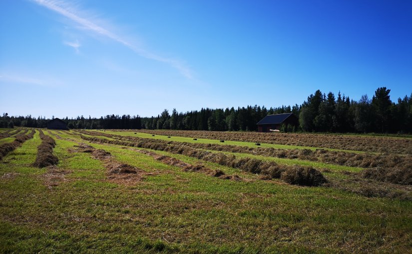 Julkalendern 2020 Lucka&nbsp;21