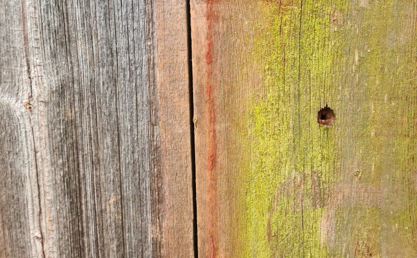 Det bidde bara en&nbsp;tumvante?